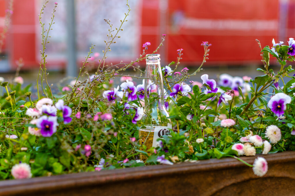 Eine Bierflasche in einem Blumenkasten